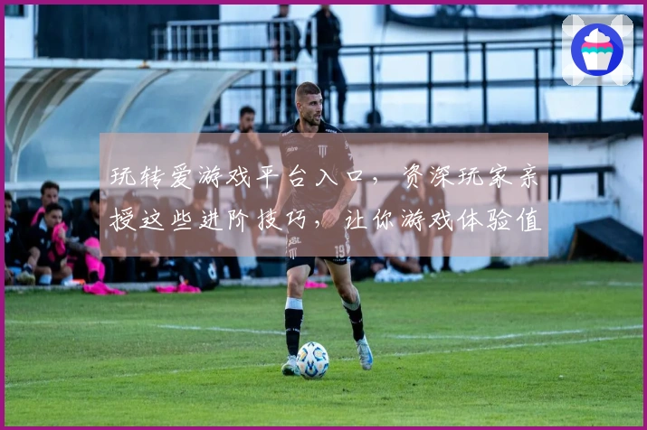 玩转爱游戏平台入口，资深玩家亲授这些进阶技巧，让你游戏体验值拉满！